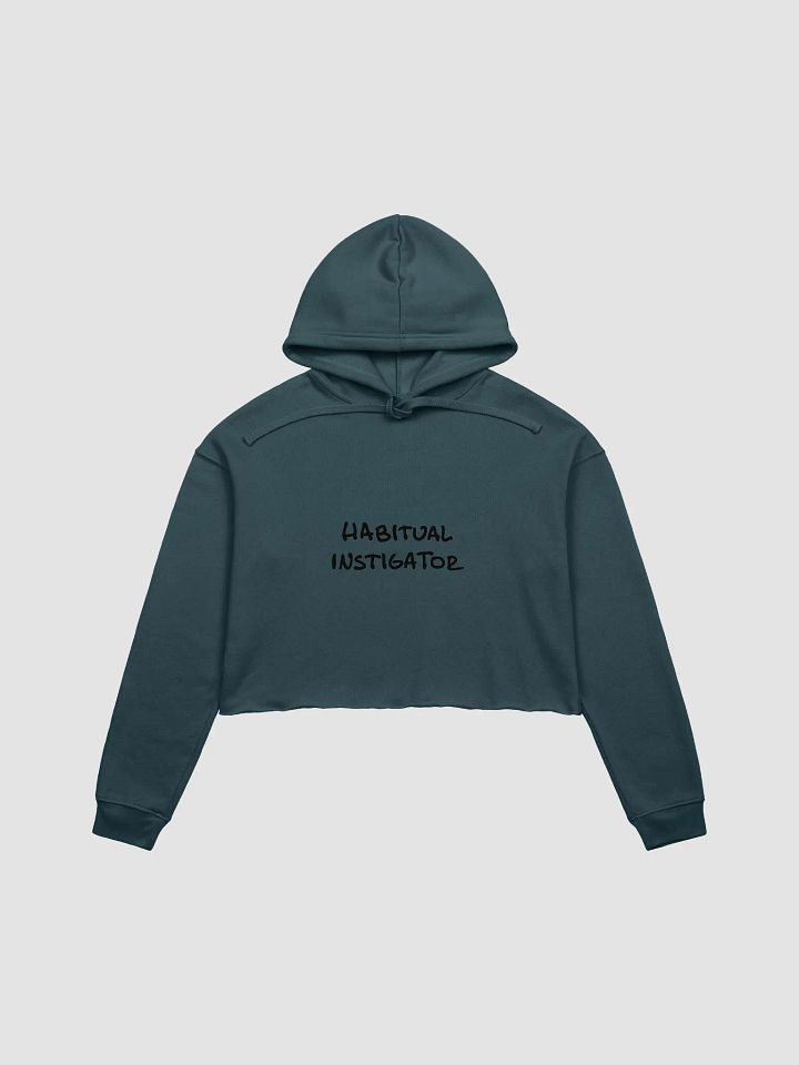 Habitual Instigator cropped hoodie product image (2)