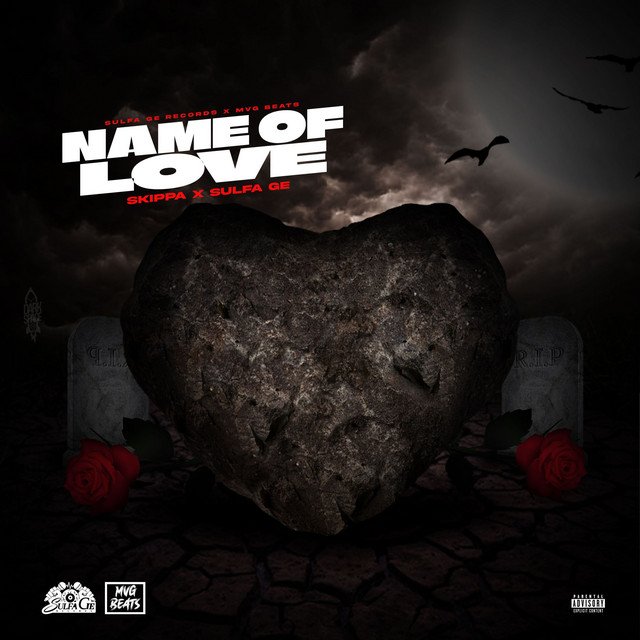 Skippa - Name Of Love (Clean) product image (1)