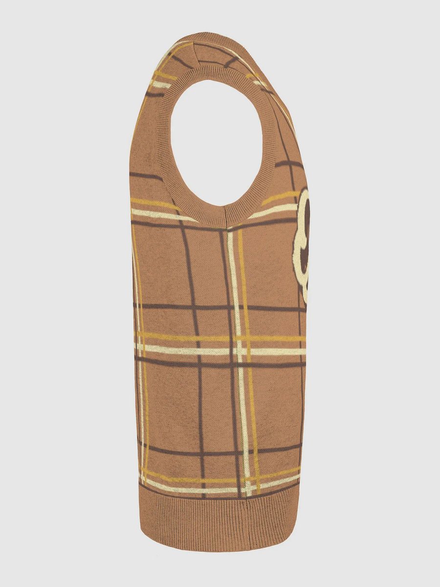 Plaid Perfection V-Neck Vest product image (24)