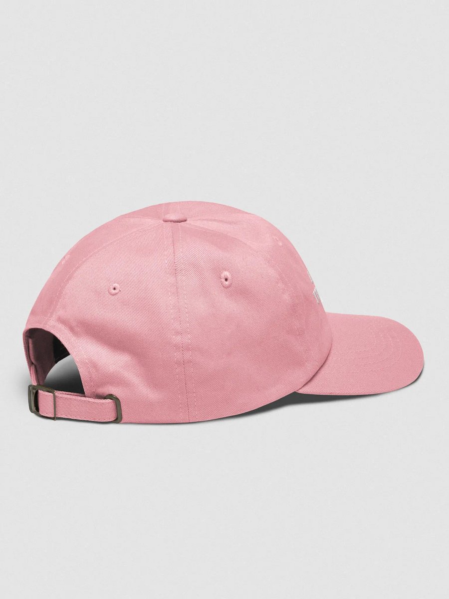 LLTD Dad Hat product image (4)