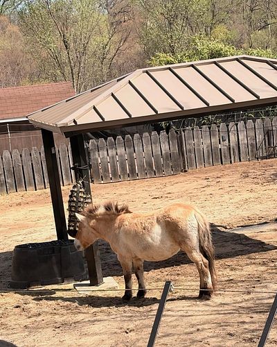 Zoo Trip moments
