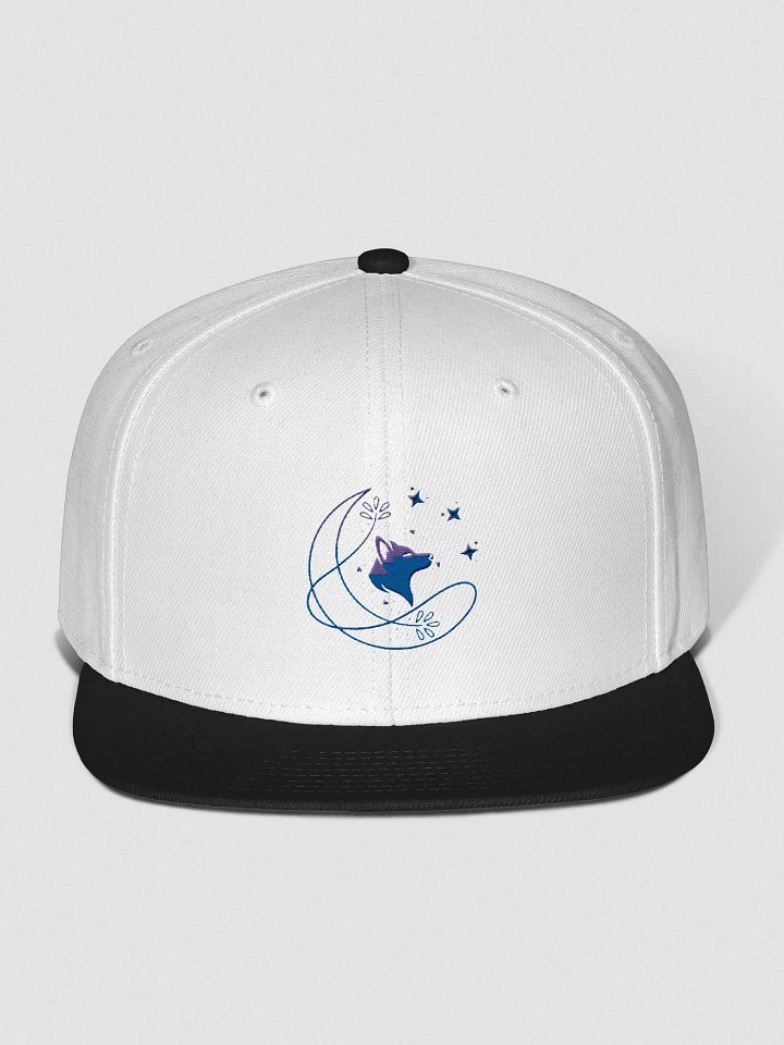 Logo snapback product image (21)