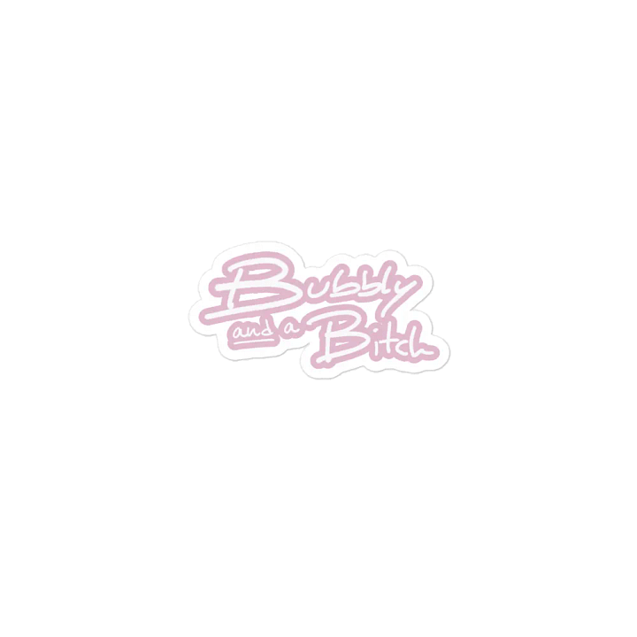 Bubbly and a B*tch (lined design, #E1B9CE) magnet product image (1)