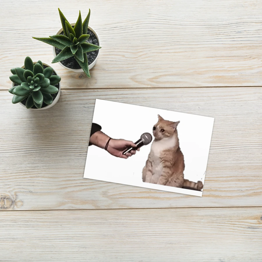 Greeting Card: Meme Cats product image (25)