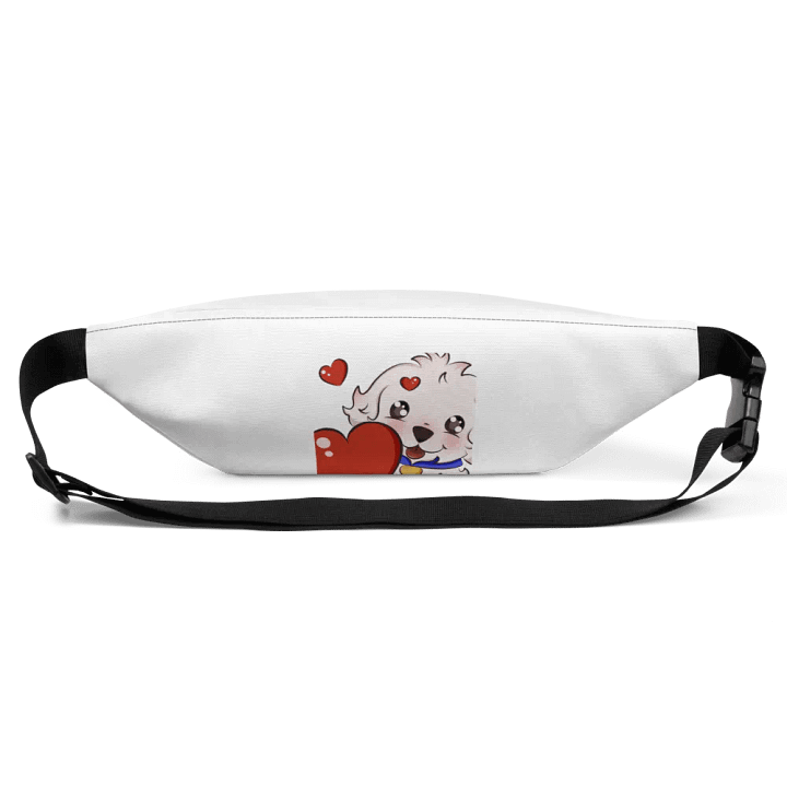 fanny pack product image (1)