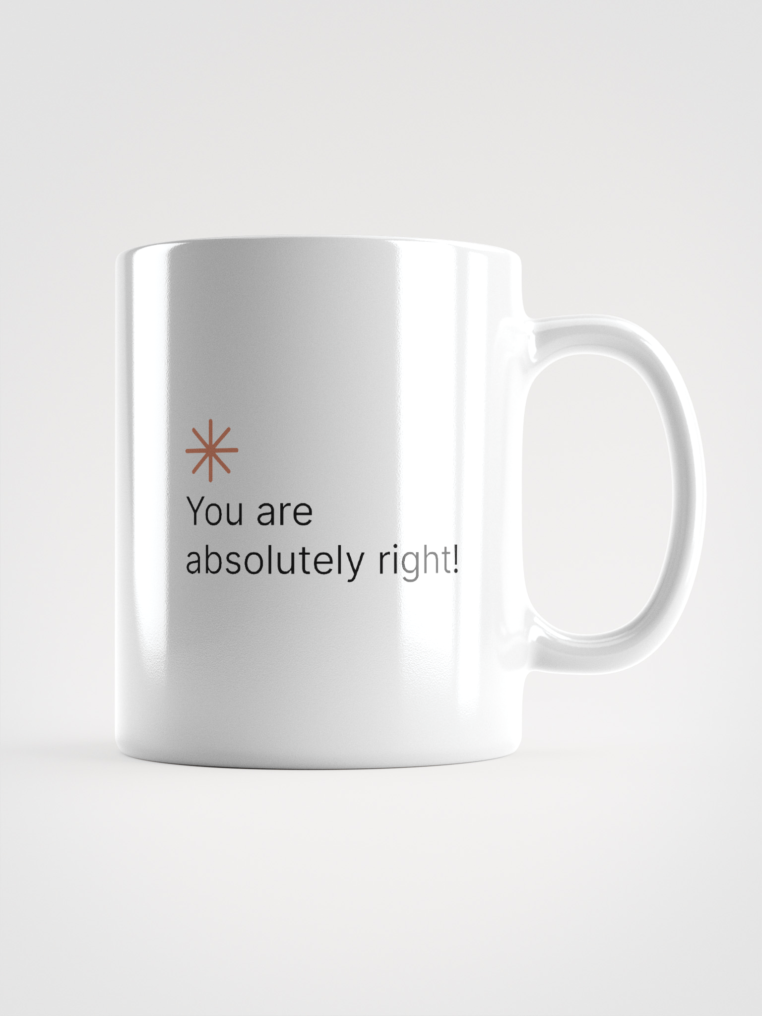 You are absolutely right! product image (1)