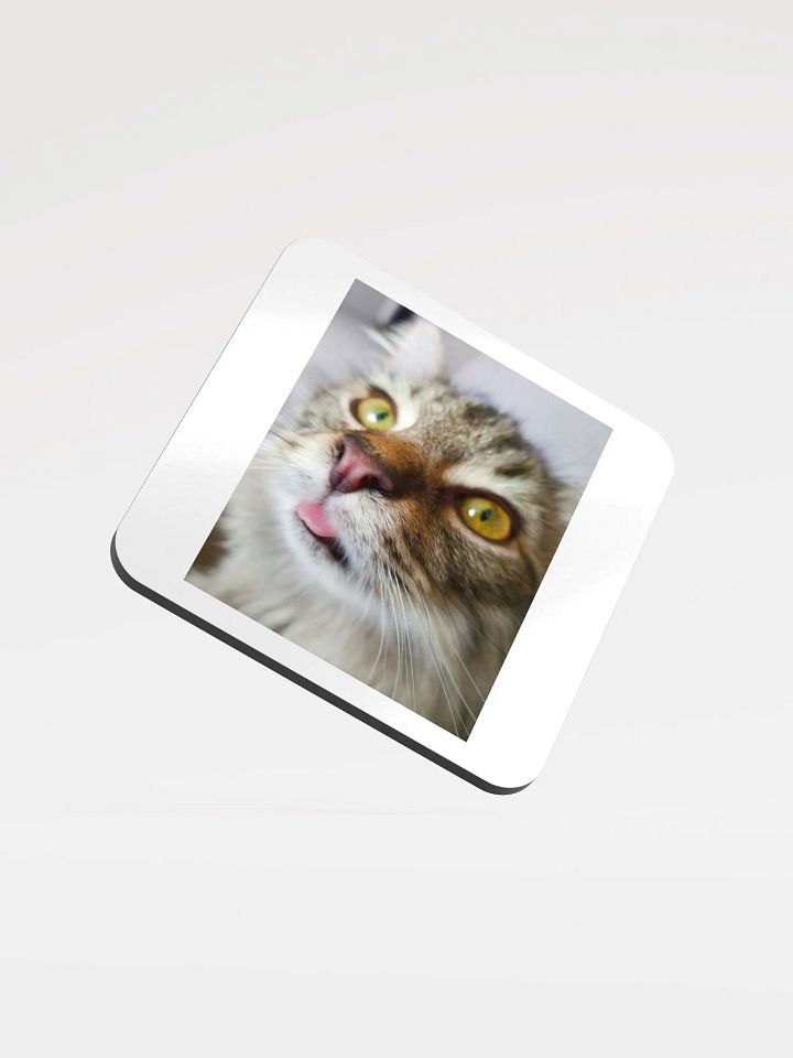 FidgGOON Coaster product image (1)