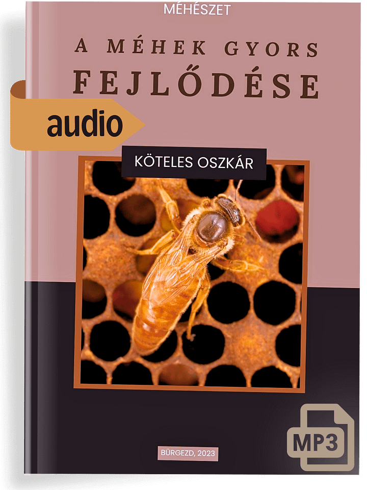 Hangoskönyv - Méhészet - A Méhek gyors Fejlődése product image (1)