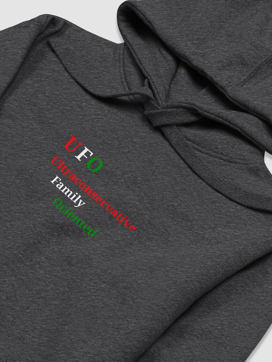 Ultraconservative Family Oriented Premium Hoodie product image (3)
