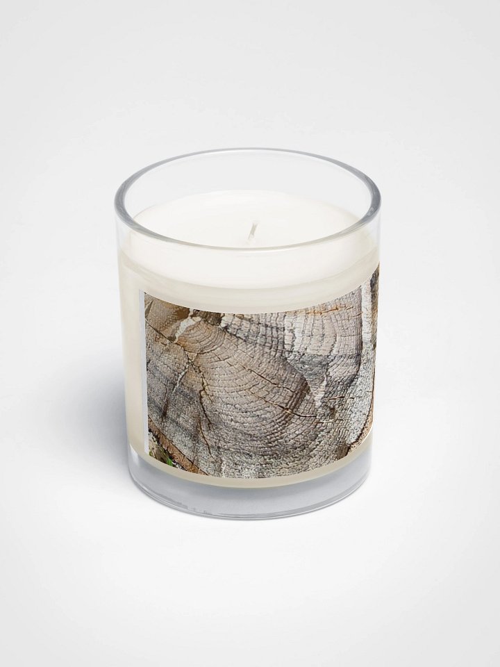 Tree Ring Soy Candle product image (2)