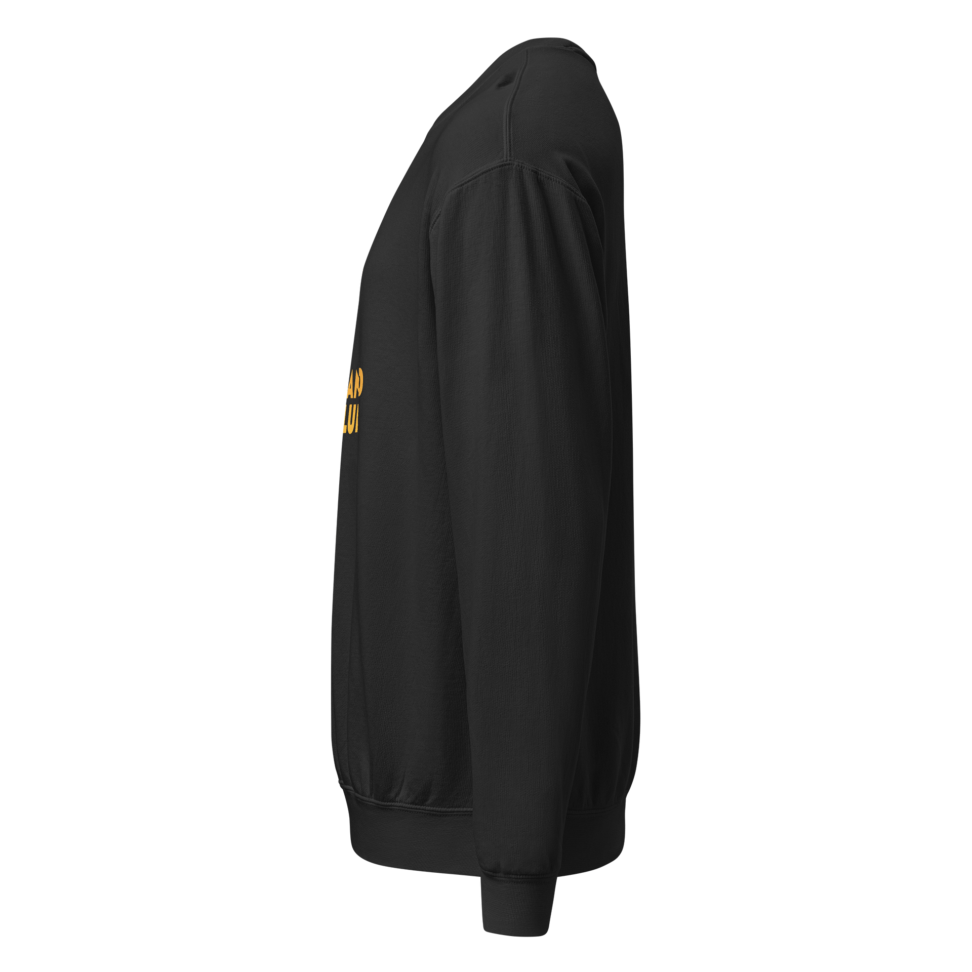 PSC Crew Sweatshirt product image (7)