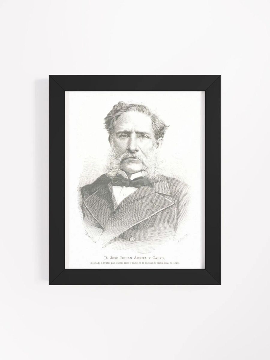 Cuadro - José Julián Acosta y Calvo: Diputado Provincia de Puerto Rico product image (4)