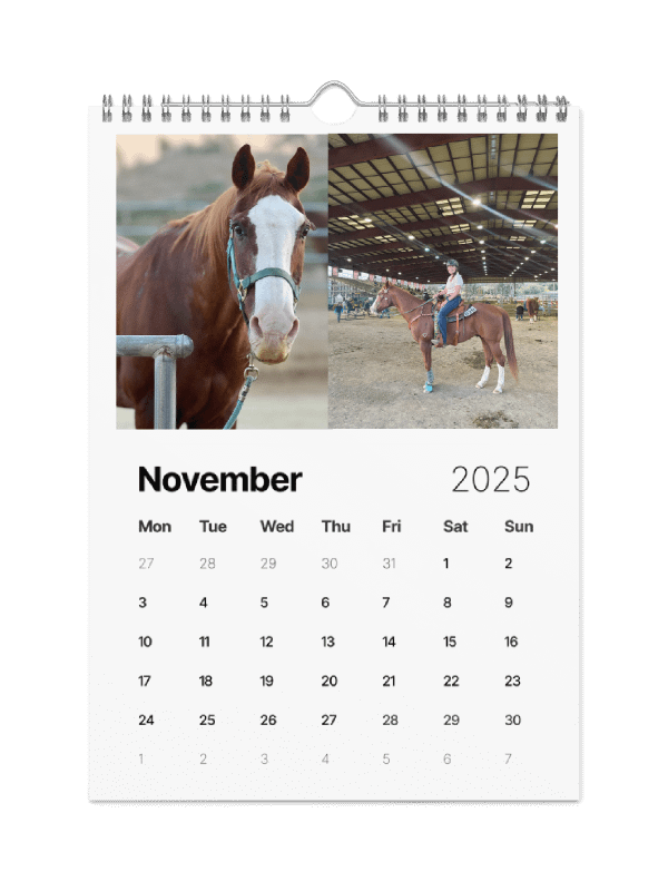 2025 Sorrel Calendar product image (11)