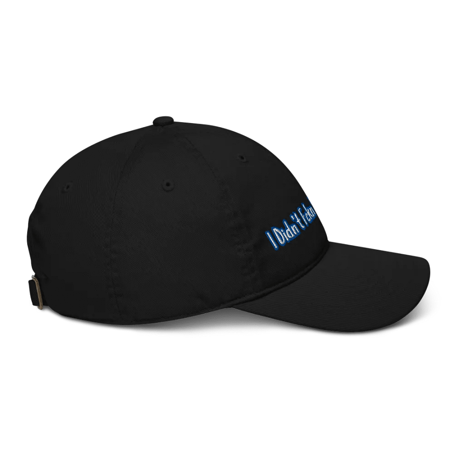 Resistor, I Didn't Fckn Vote for This (words only), NSFW Embroidered Hat product image (5)