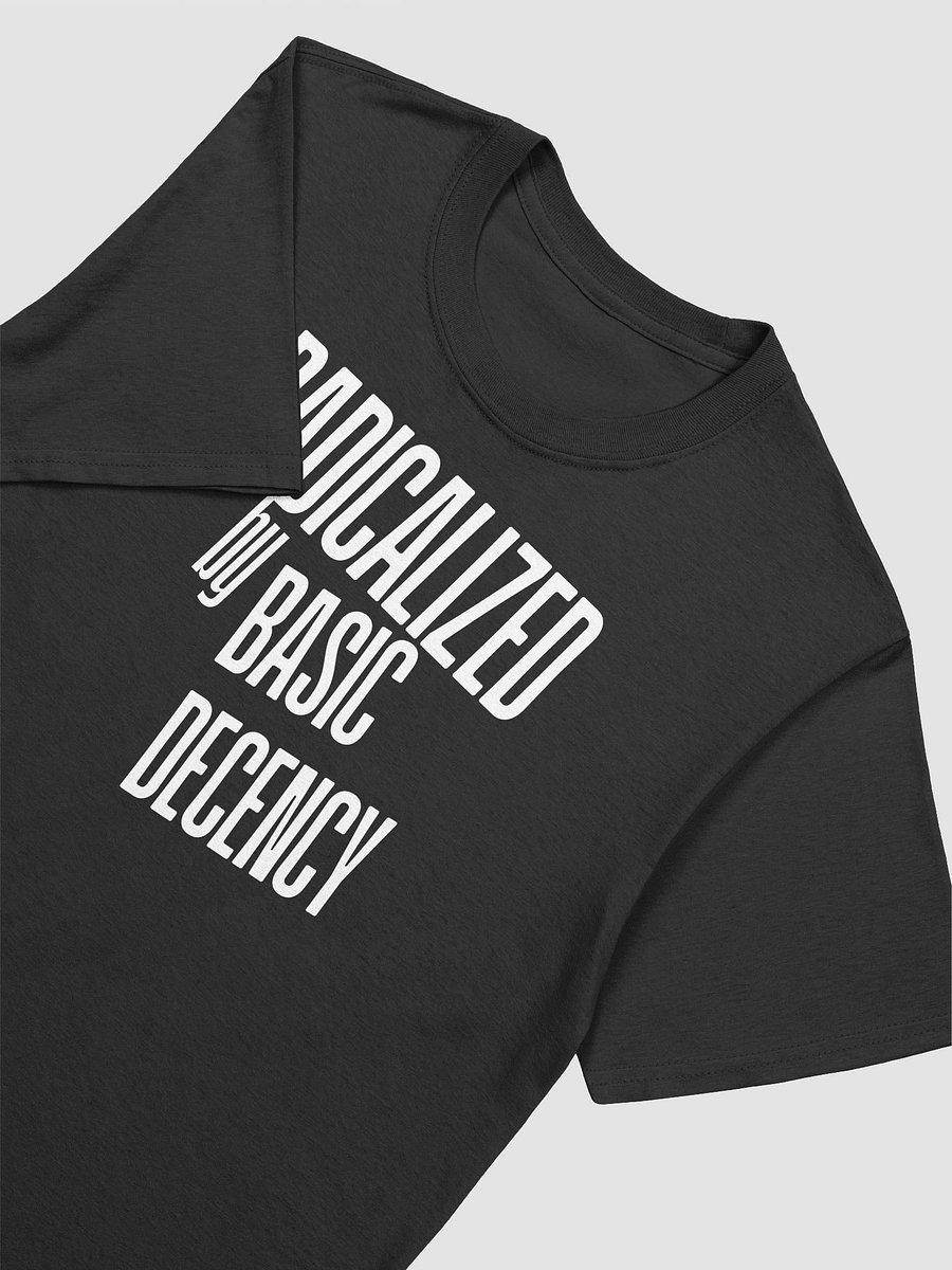 Radicalized by Basic Decency - Empowering Activism Graphic Statement Tee product image (11)