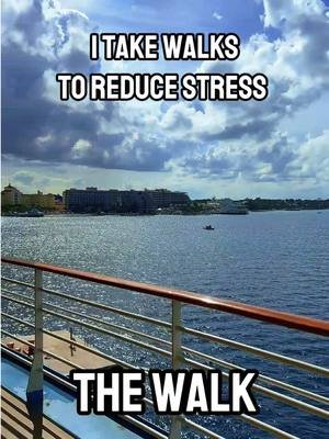 This is the jogging track on the oasis of the seas, a royal Caribbean cruise ship that I traveled solo on in November.