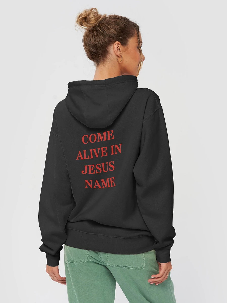 Come Alive in Jesus Name - Hoodie product image (1)