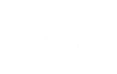 Y.V $aint