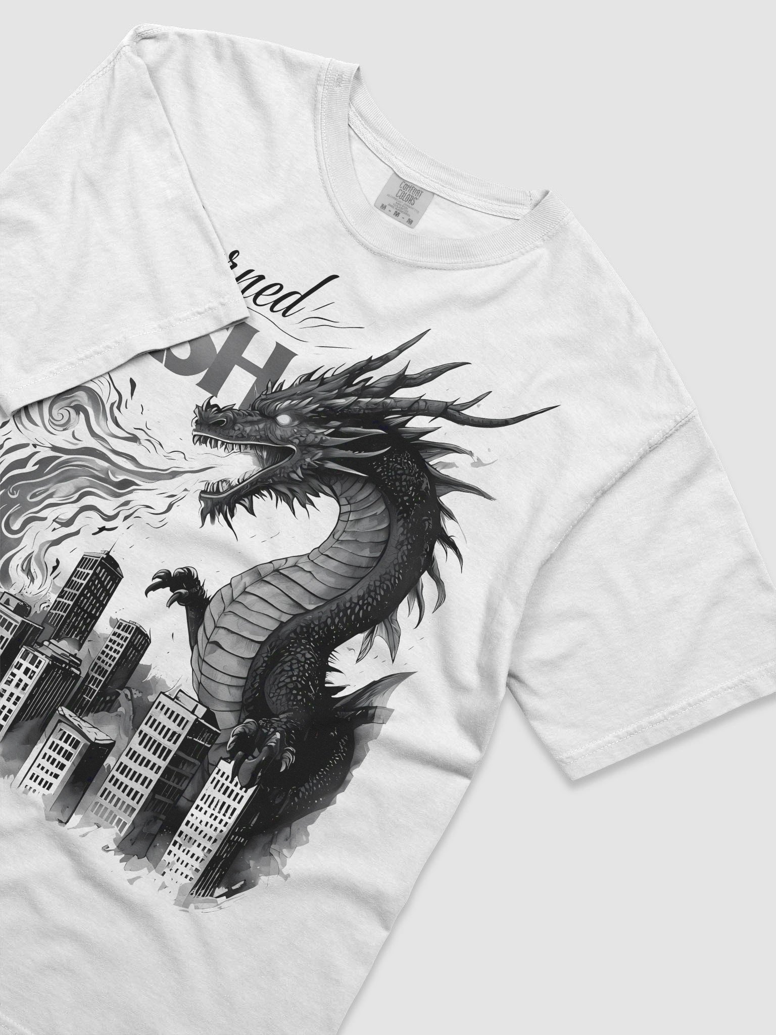 Apocalyptic Dragon Art | 'Burned to Ash' Monochrome Print T-Shirt product image (20)