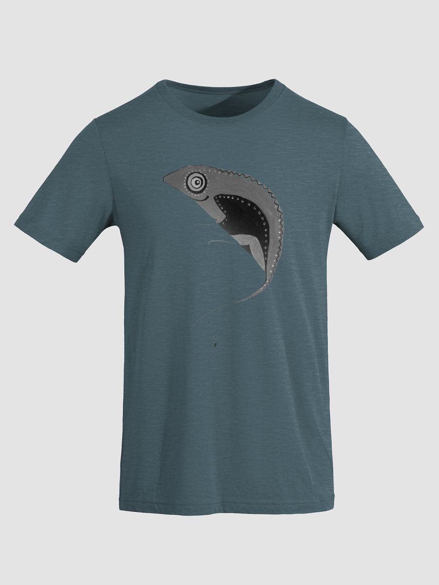 Chameleon Dreams - Tri-Blend Tee product image (47)