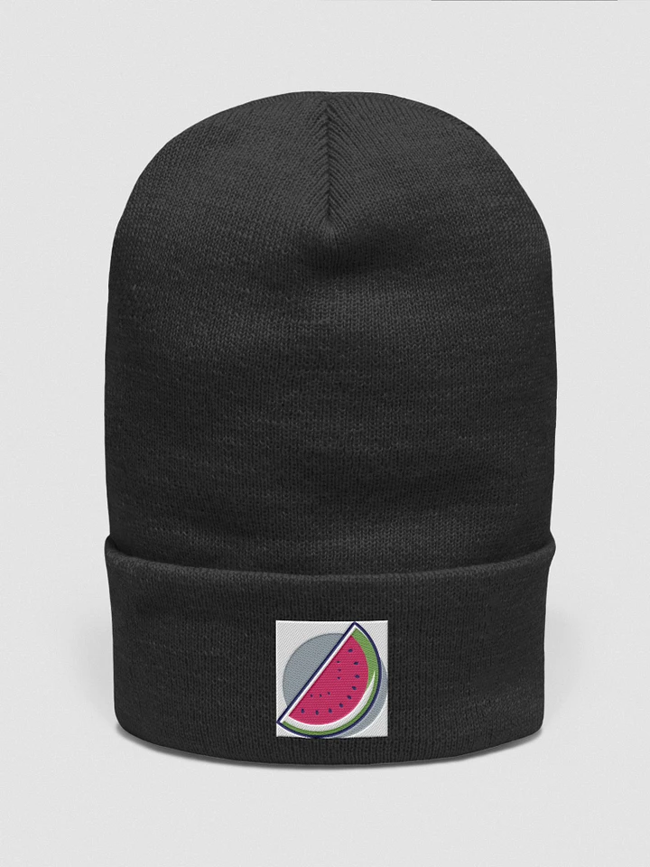Watermelon Embroidered Beanie product image (6)