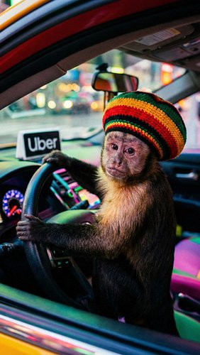 SMUGGLING DR*GS IN MY UBER🚕 #uber #rasta #monkey #funny #ai