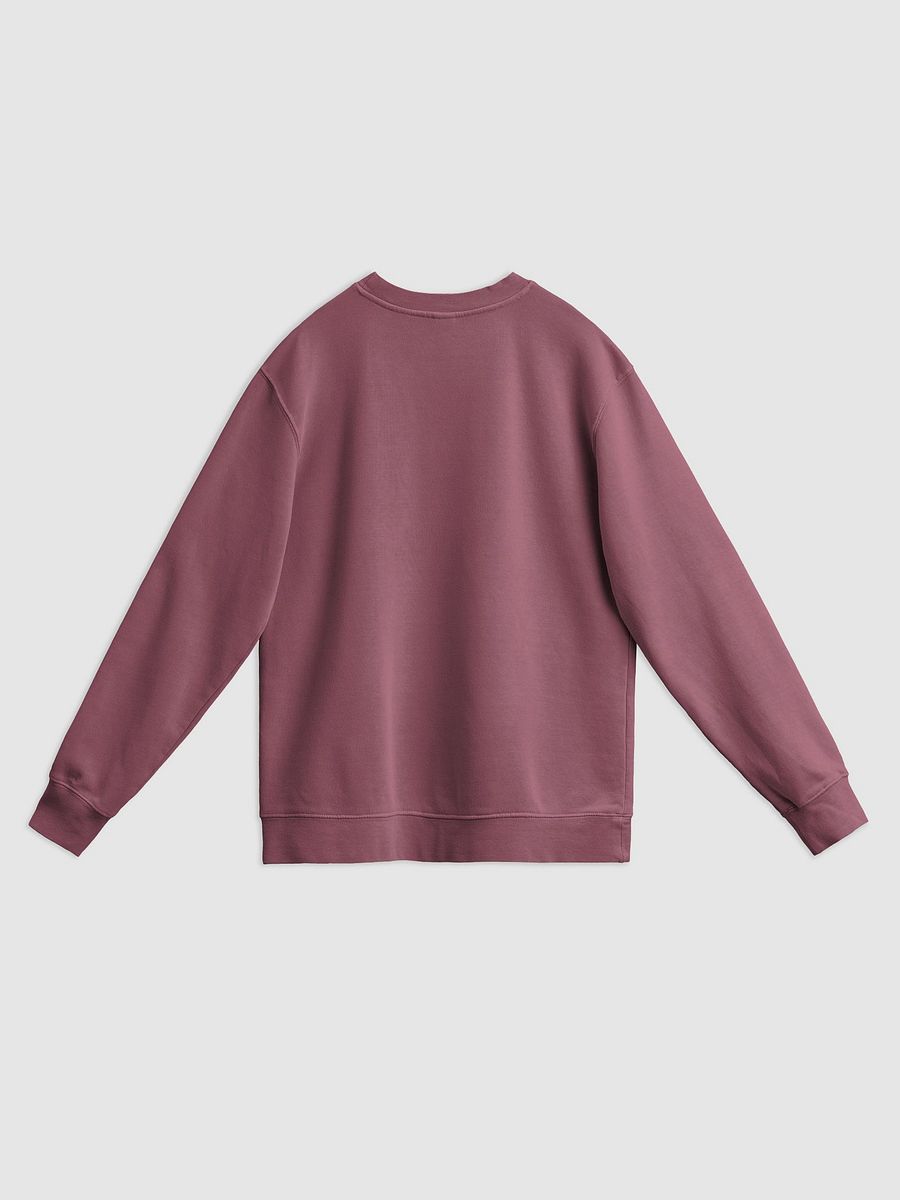 Retro Grid Unisex Pigment Dyed Sweatshirt product image (2)