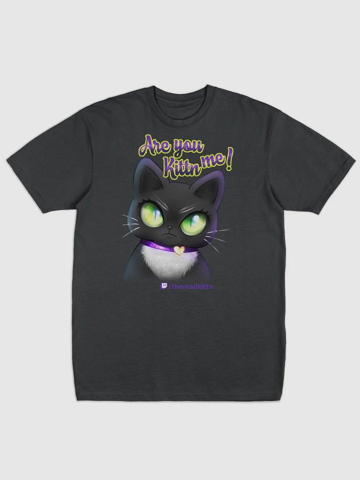 Are you Kittn Me! product image (1)