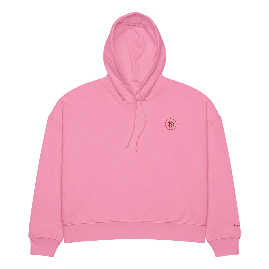 the unapologetic hoodie product image (1)
