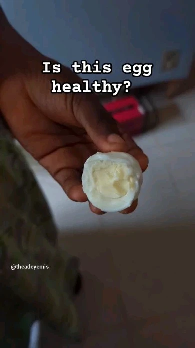 Is this EGG Healthy? 

#healthyfood #eggs