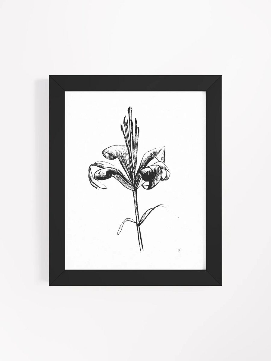 Elegant Lily Bloom Framed Poster - Fine Flower Light product image (22)