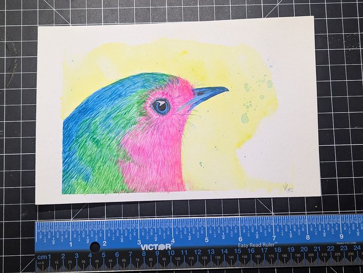 Original Art - Rainbow Bird product image (1)