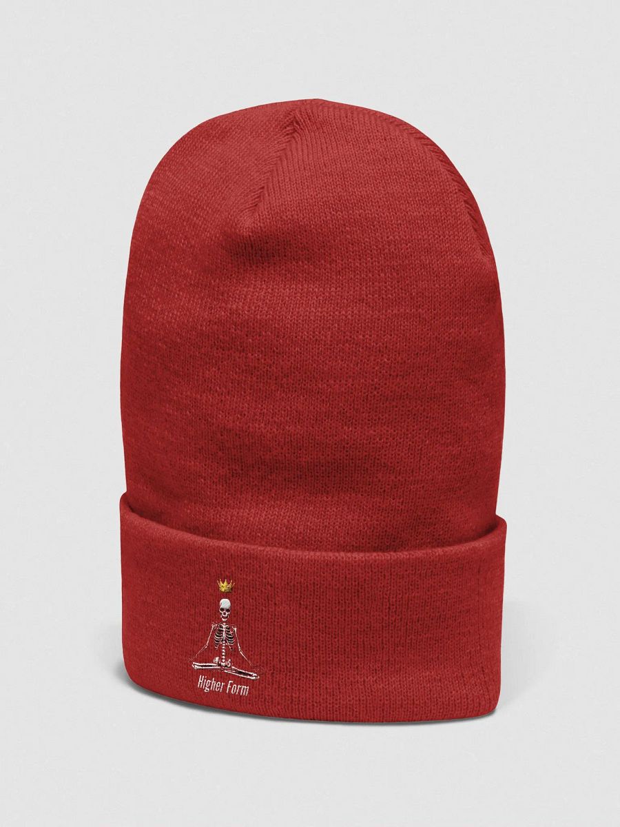 Higher Form Skully product image (3)