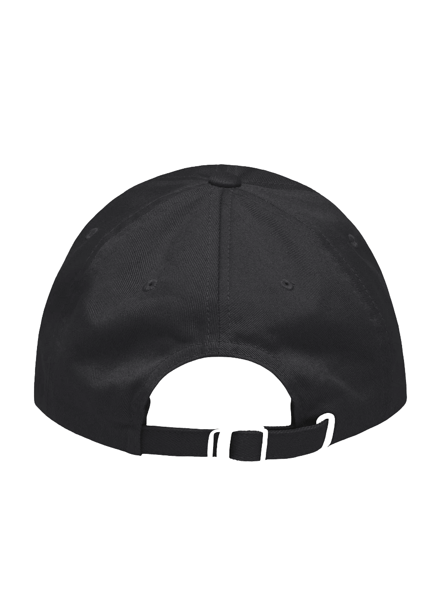 Nathan Herre Graphic Skull Dad Hat product image (2)