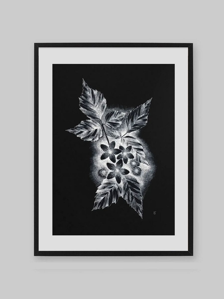 Botanical Bliss Matte Poster - Dark Jasmine product image (8)