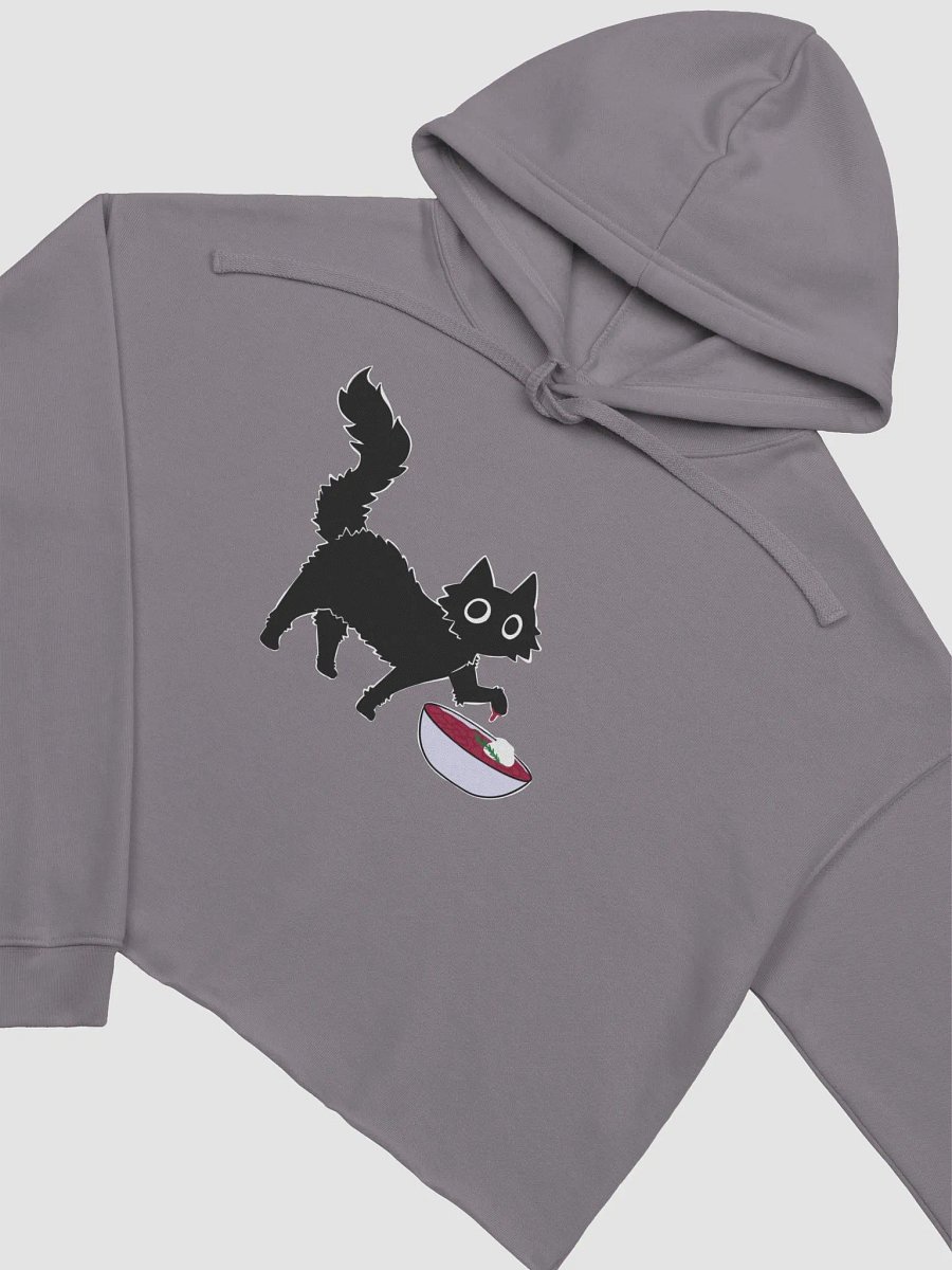 my BORSCHT fleece crop hoodie product image (4)