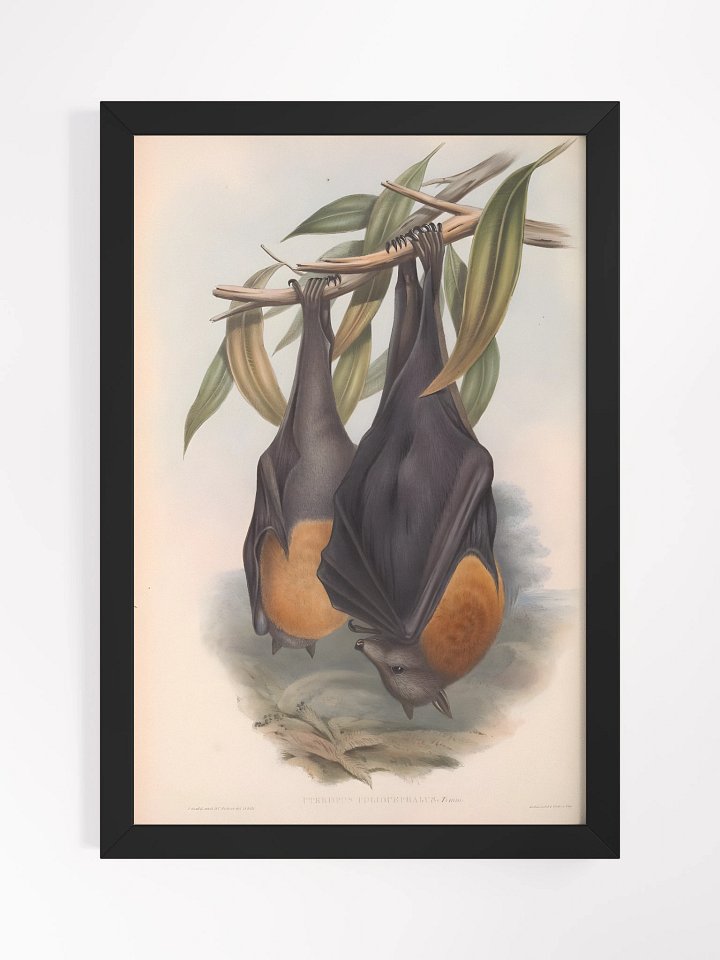 Framed Print - Gothic Halloween Decor 'Midnight Flight' product image (1)