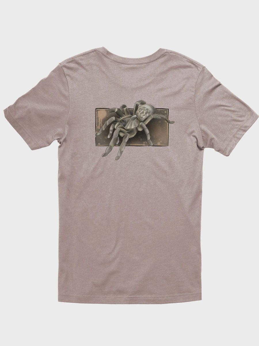 Ceratogyrus darlingi product image (31)