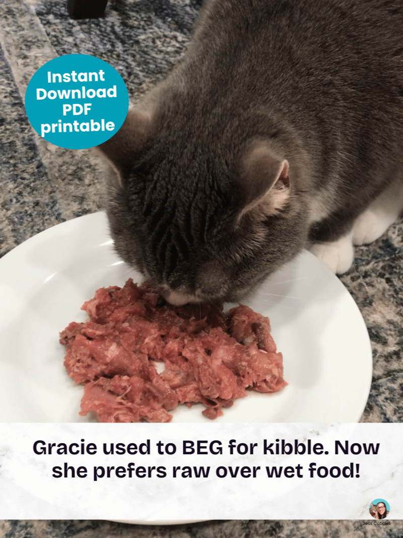 Turkey & chicken neck raw meaty bone cat food recipe ~ 1 recipe for adult cats product image (7)
