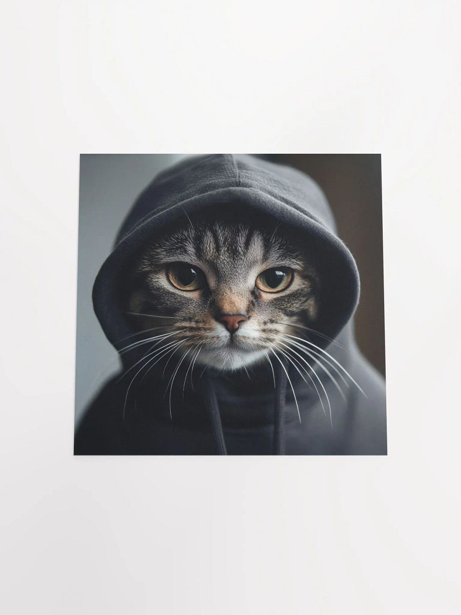 Hacker Cat product image (4)