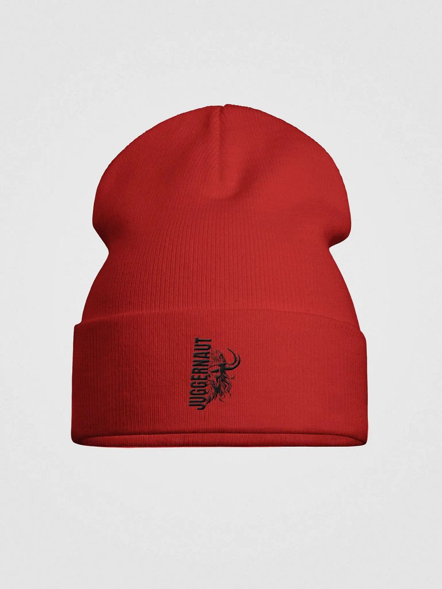Juggernaut Knit Beanie product image (8)