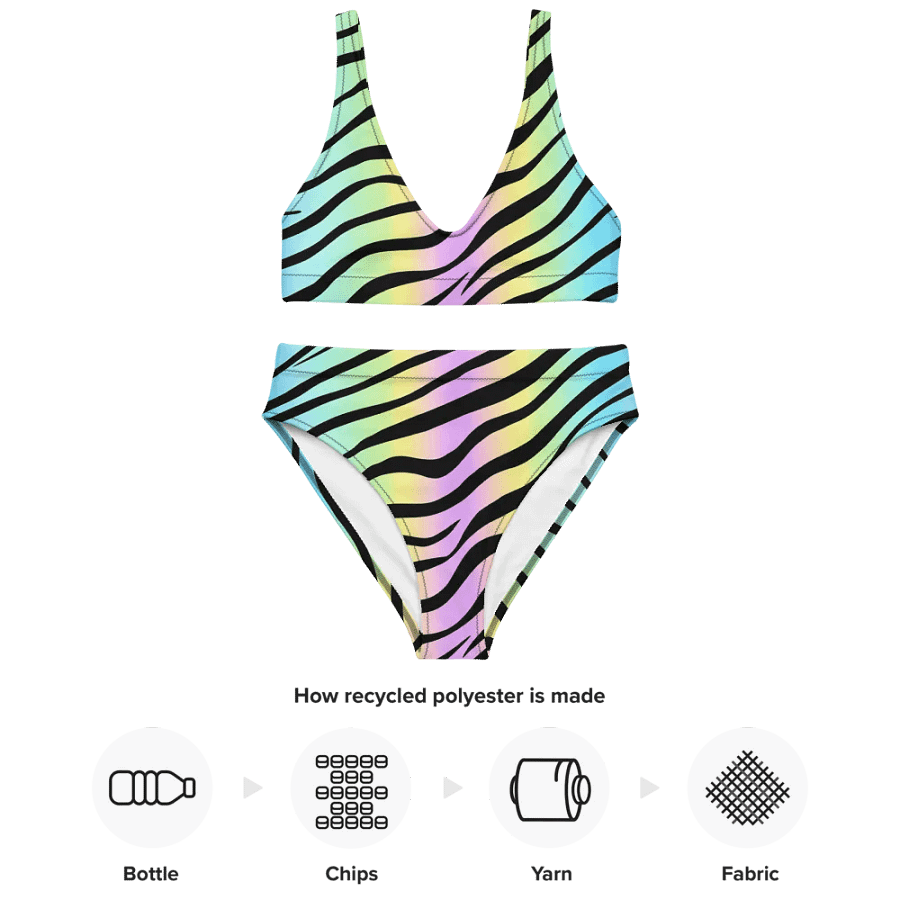 Pink Zebra Bikini product image (5)