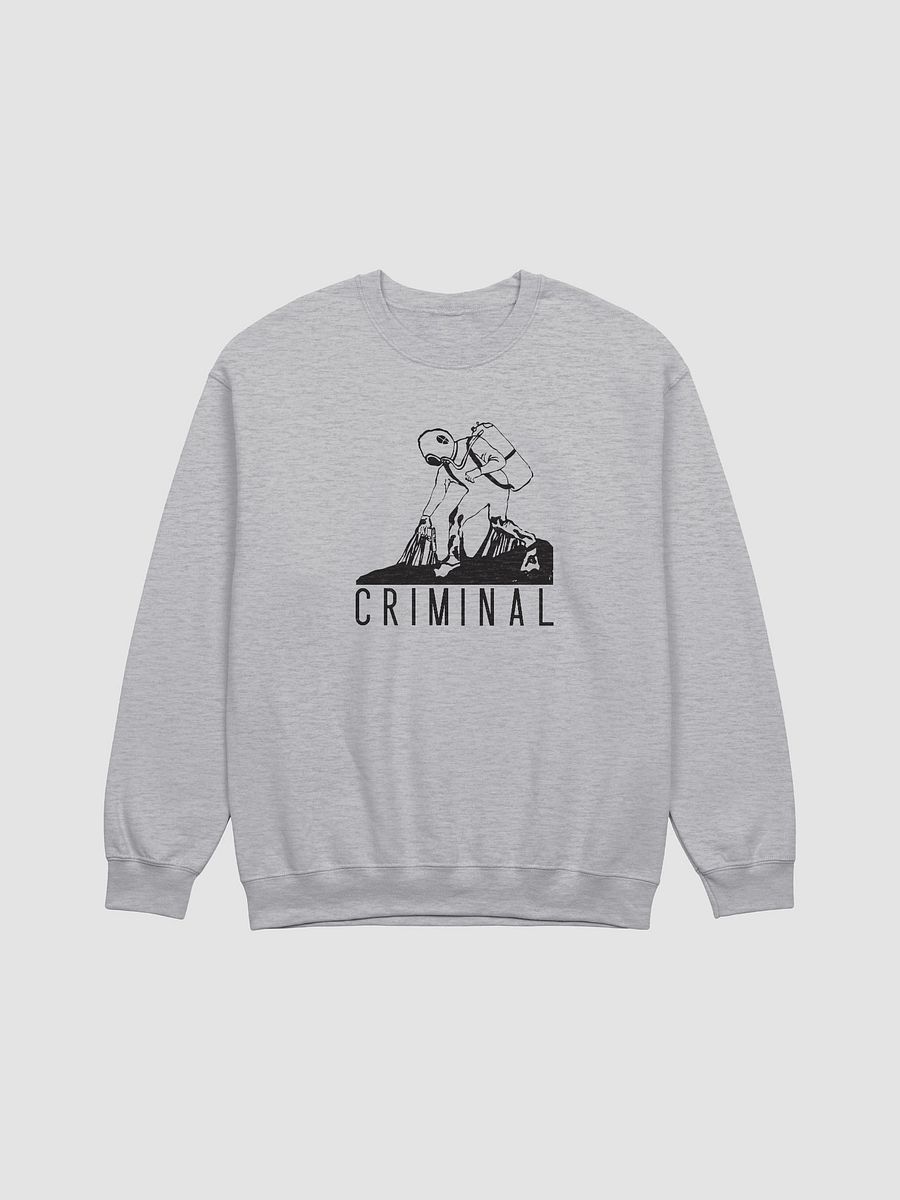 Deep Dive Sweatshirt product image (1)