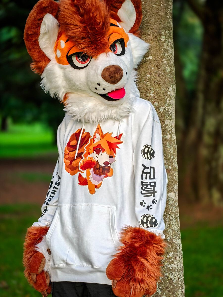 Alpine Antics Hoodie product image (3)