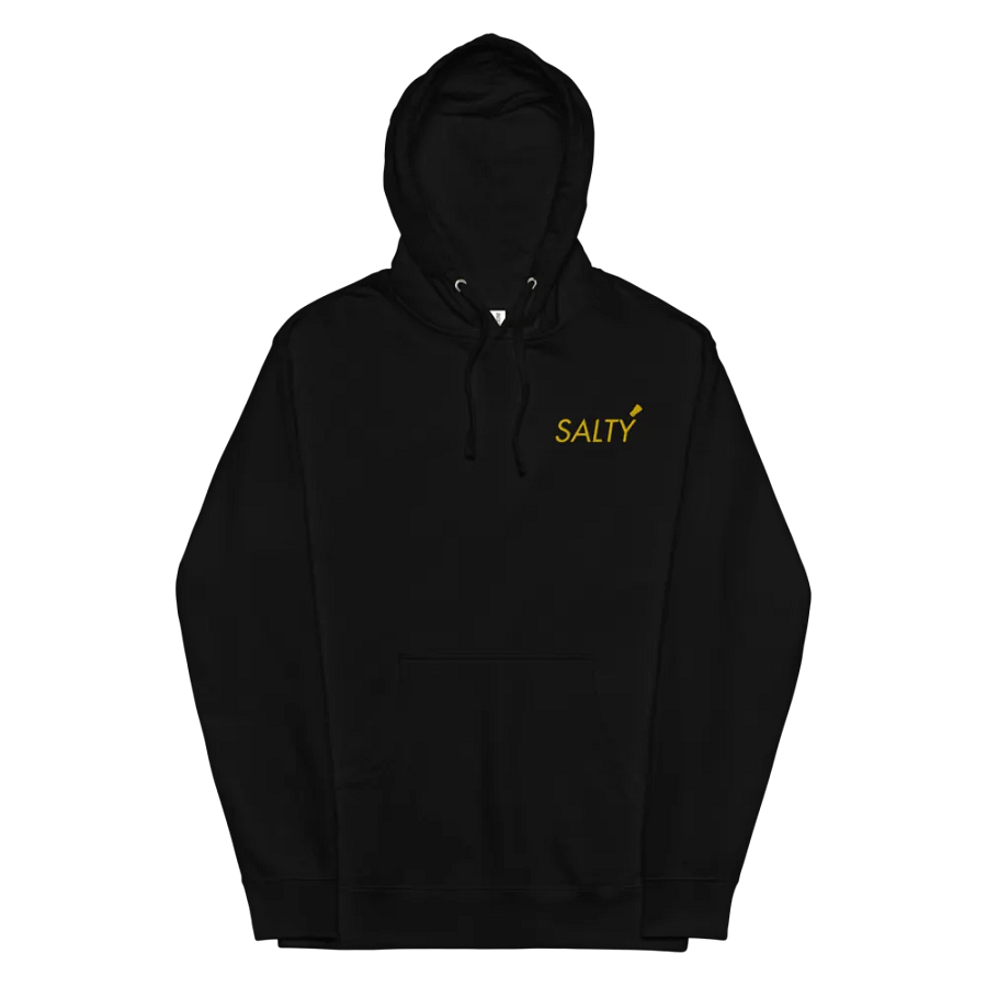 Embroidered Salty Hoodie product image (4)