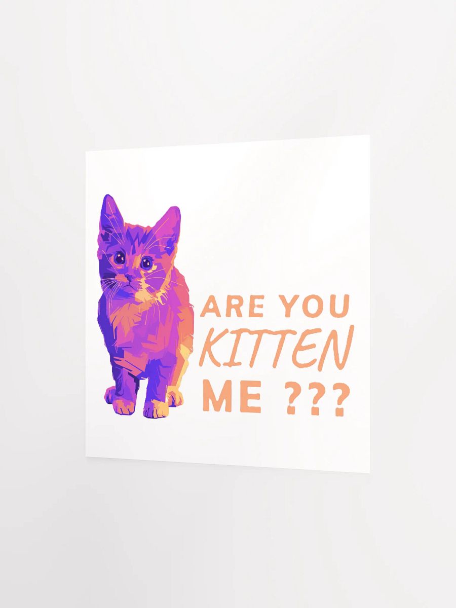 ARE YOU KITTEN ME??? product image (8)