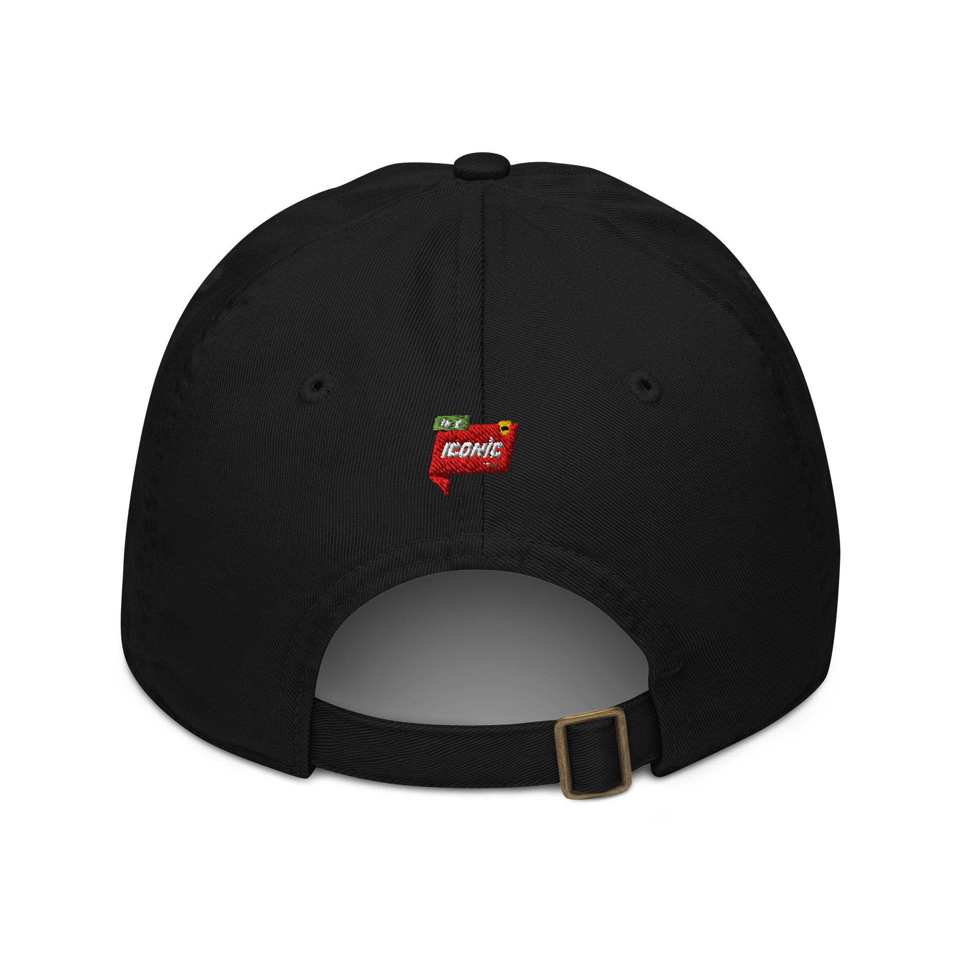 Hipcase cap product image (5)