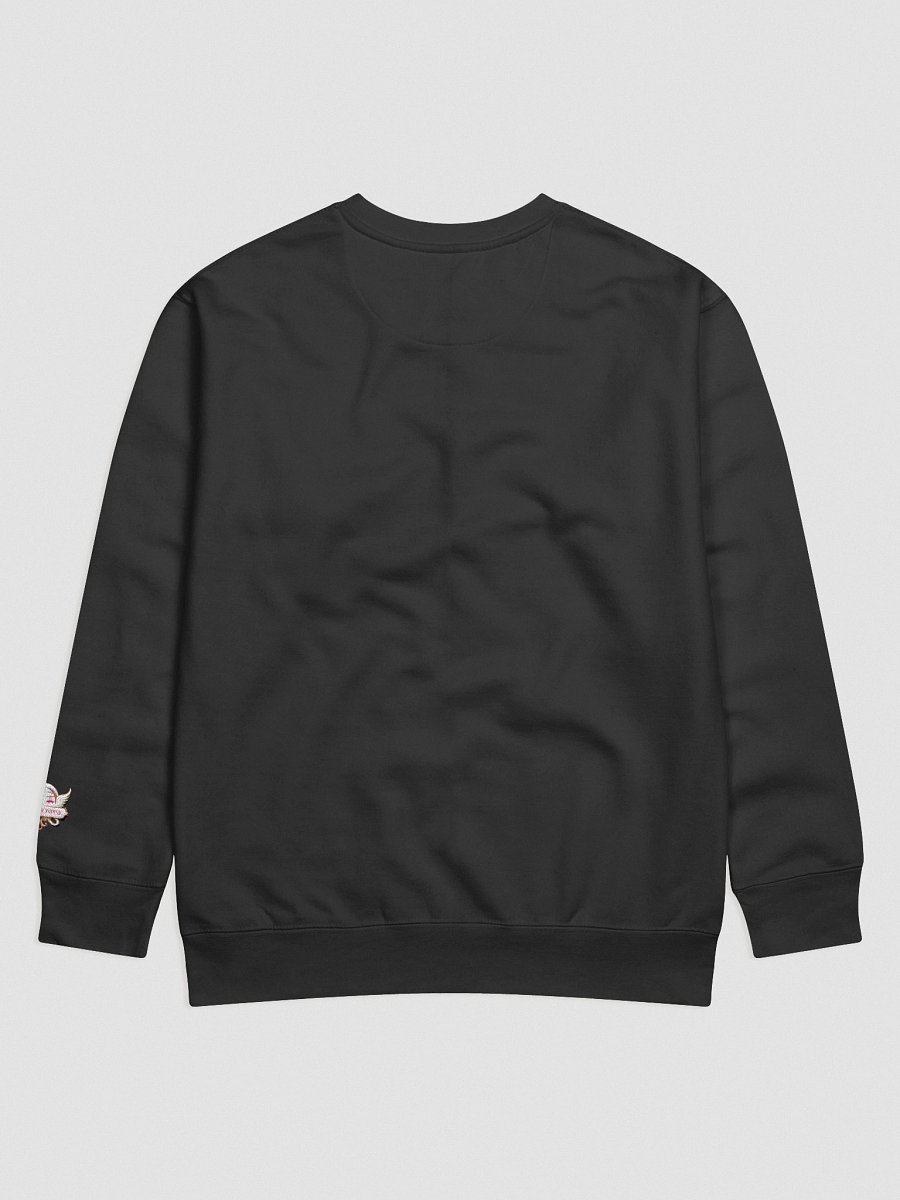 Ethereal Vision Premium Sweatshirt product image (17)