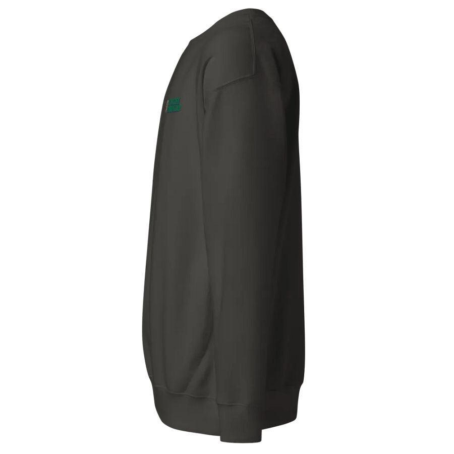 Glucose Guardian ∙ Embroidered Sweatshirt product image (19)