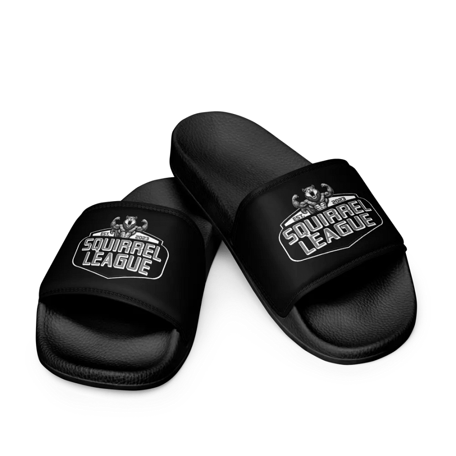 Squirrel League Slides product image (6)